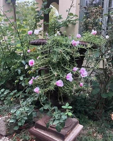 Château De Paulignan Couette-café 3*