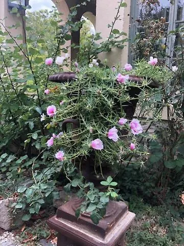 Chateau De Paulignan Bed & Breakfast 3*